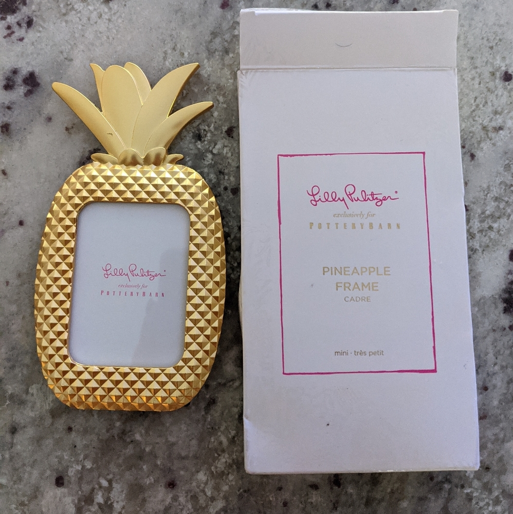 Lilly Pulitzer Pineapple picture frame